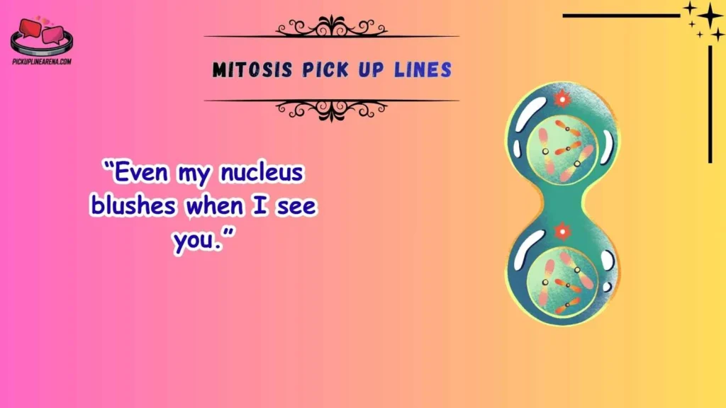 Cute Mitosis Pick Up Lines
