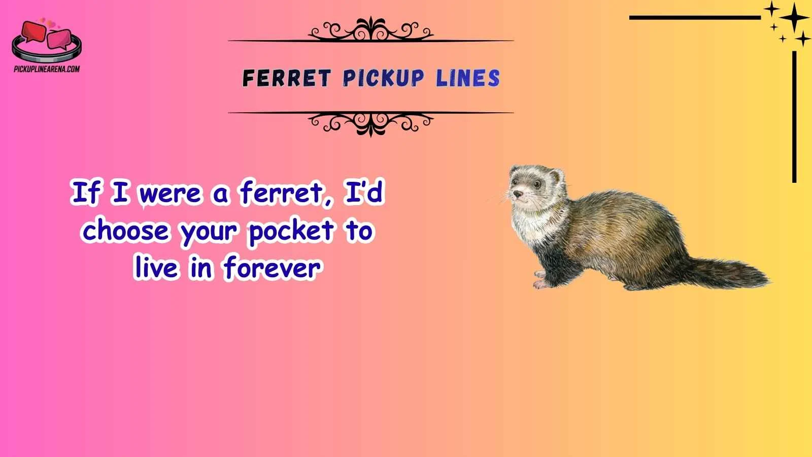 Ferret Pickup Lines