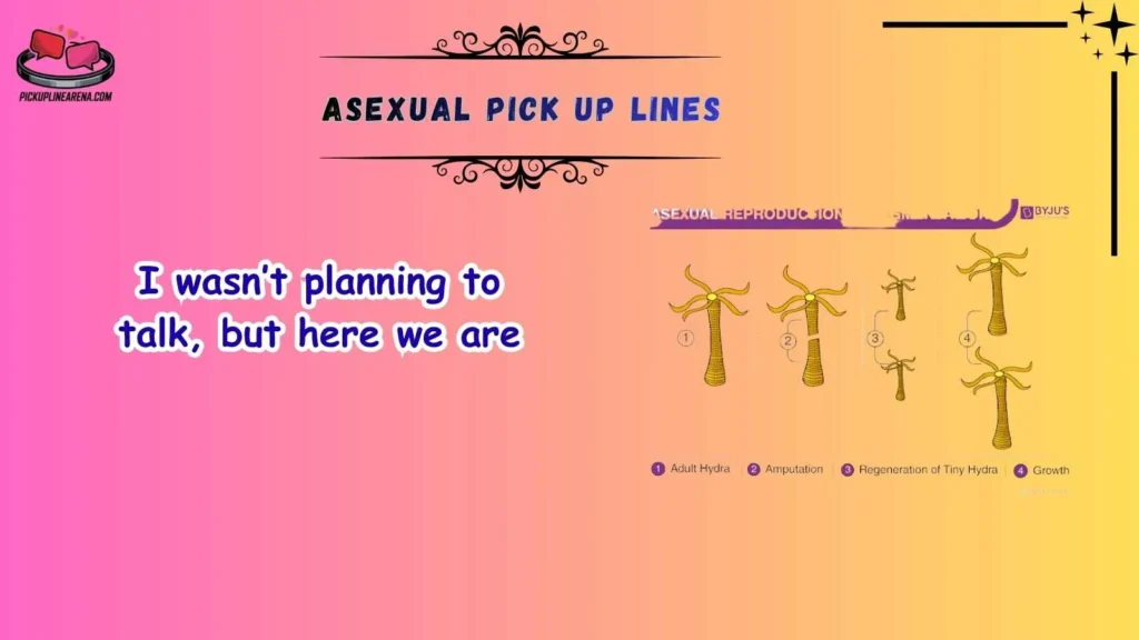 Funny Asexual Pick Up Lines