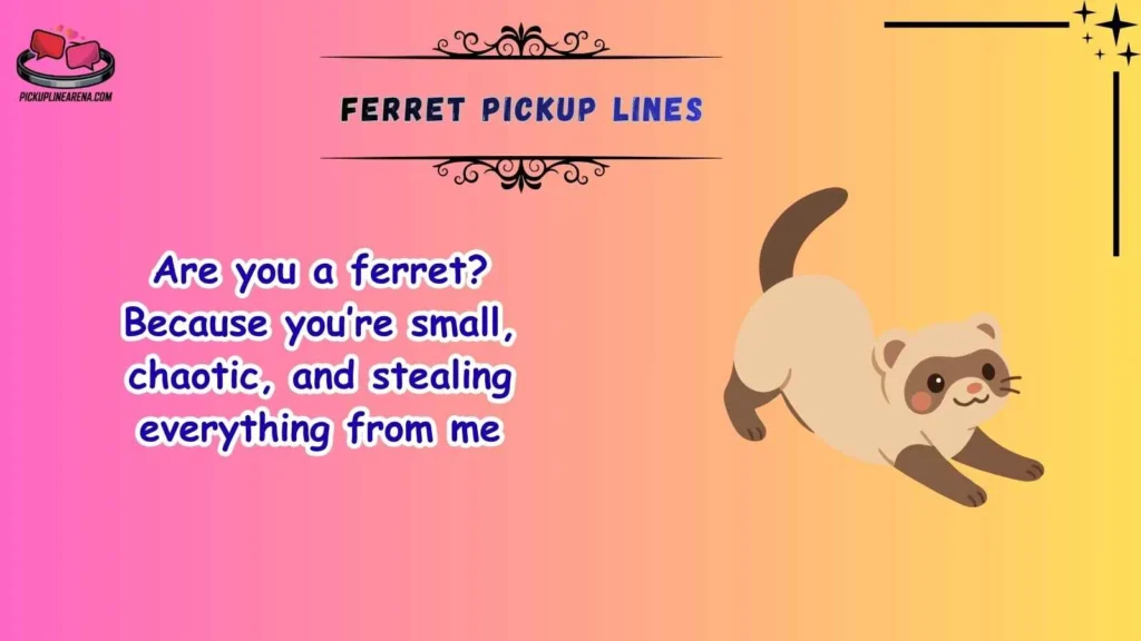 Funny Ferret Pickup Lines