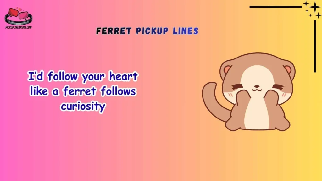 Romantic Ferret Pickup Lines